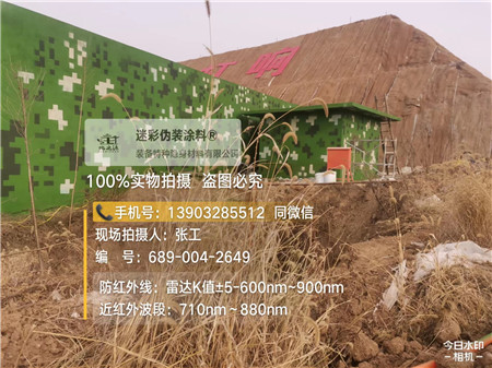 山东星空迷彩墙施工队