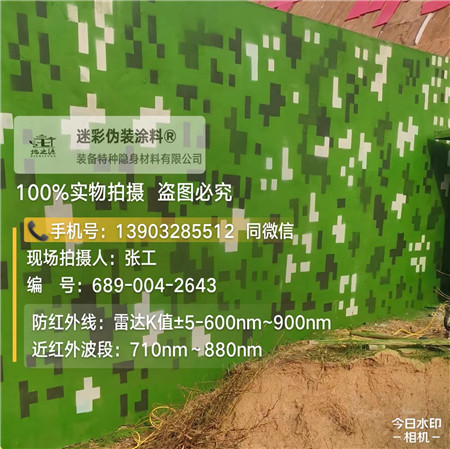 山东星空迷彩漆，夏令营训练,数码迷彩作训墙,围墙